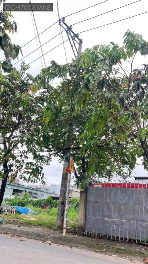 Bán lô đất góc 2 mặt tiền đường Nguyễn Thị Mười, dt 18x18 sổ CN 235m. Giá 6tỷ360triệu còn bớt - Xã Đông Thạnh  -  Huyện Hóc Môn  - (ảnh - 0)