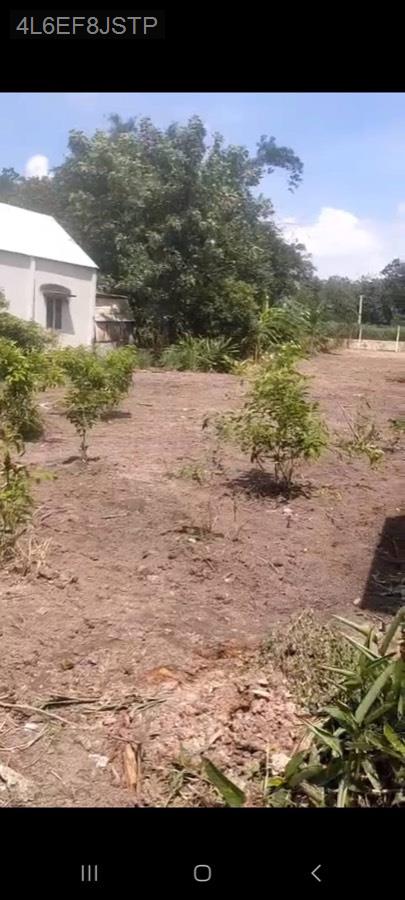 Bán đất mặt tiền đường Nguyễn Thị Nê, diện tích 15x70 tdt 1067m có 388m thổ cư - Xã Phú Hòa Đông  -  Huyện Củ Chi  - (ảnh - 2)