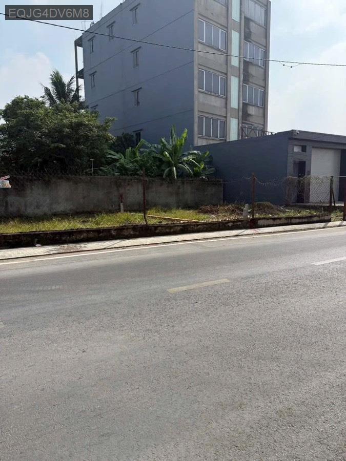 Bán lô đất Xã Xuân Thới Thượng diện tích 8x11 SHR 81m² thổ cư, không bị lộ giới - Xây dựng tự do  - Xã Xuân Thới Thượng  -  Huyện Hóc Môn  - (ảnh - 1)