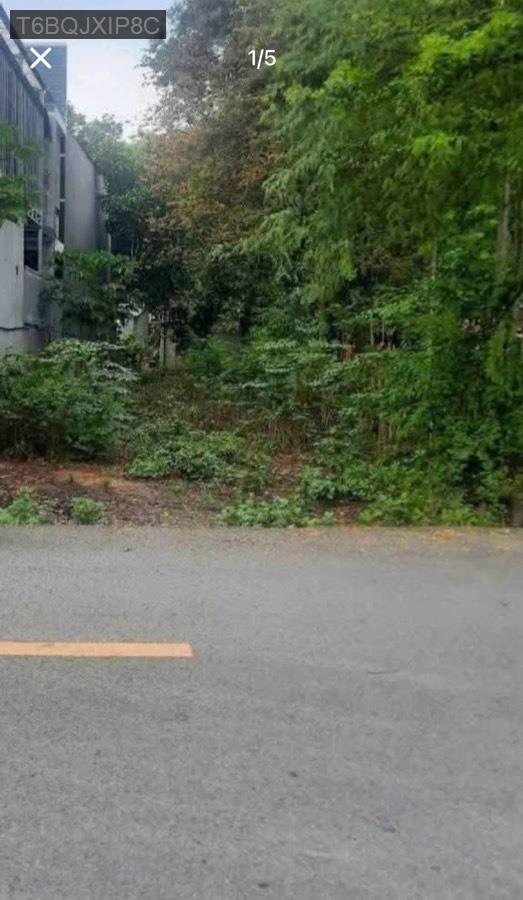 Bán đất mặt tiền đường nhựa Lý Thị Chừng, xây dựng tự do. Giá 2.4tỷ còn bớt - Xã Phú Hòa Đông  -  Huyện Củ Chi  - (ảnh - 0)