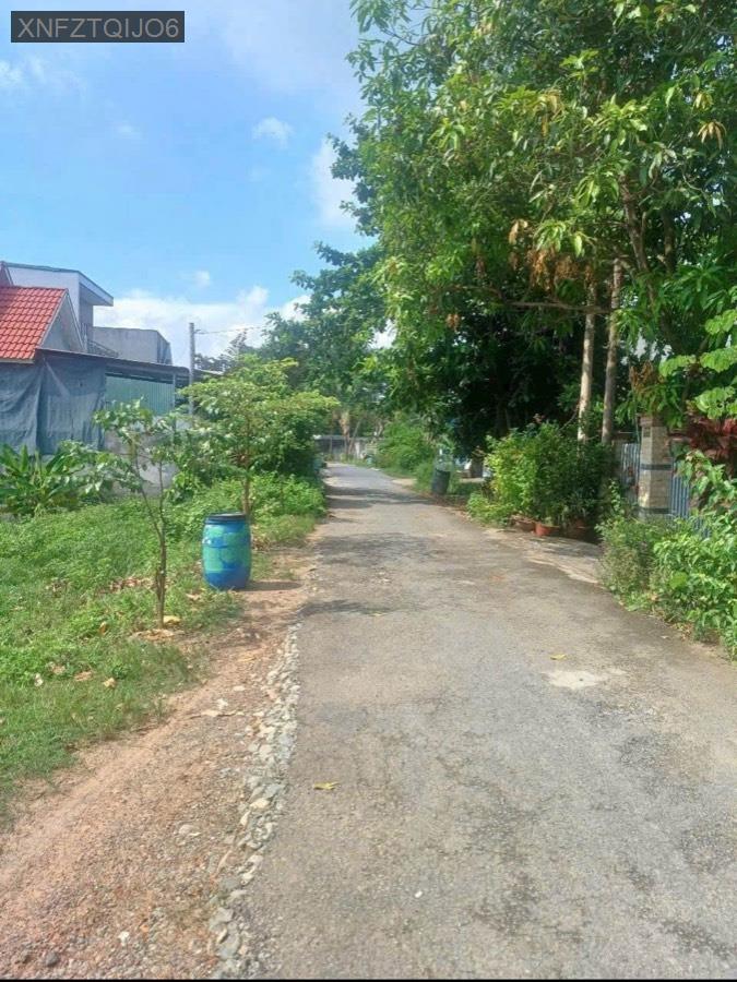 Bán nhà cấp 4 gần TL8, diện tích 6x20 full thổ cư. Đường nhựa thông - Xã Hòa Phú  -  Huyện Củ Chi  - (ảnh - 1)