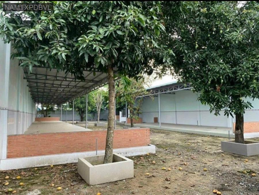 Bán đất cách TL15 khoảng 50m diện tích gần 1.200m² đã có 300m² thổ cư. Giá 13tỷ2 có TL - Xã Tân Thạnh Đông  -  Huyện Củ Chi  - (ảnh - 3)