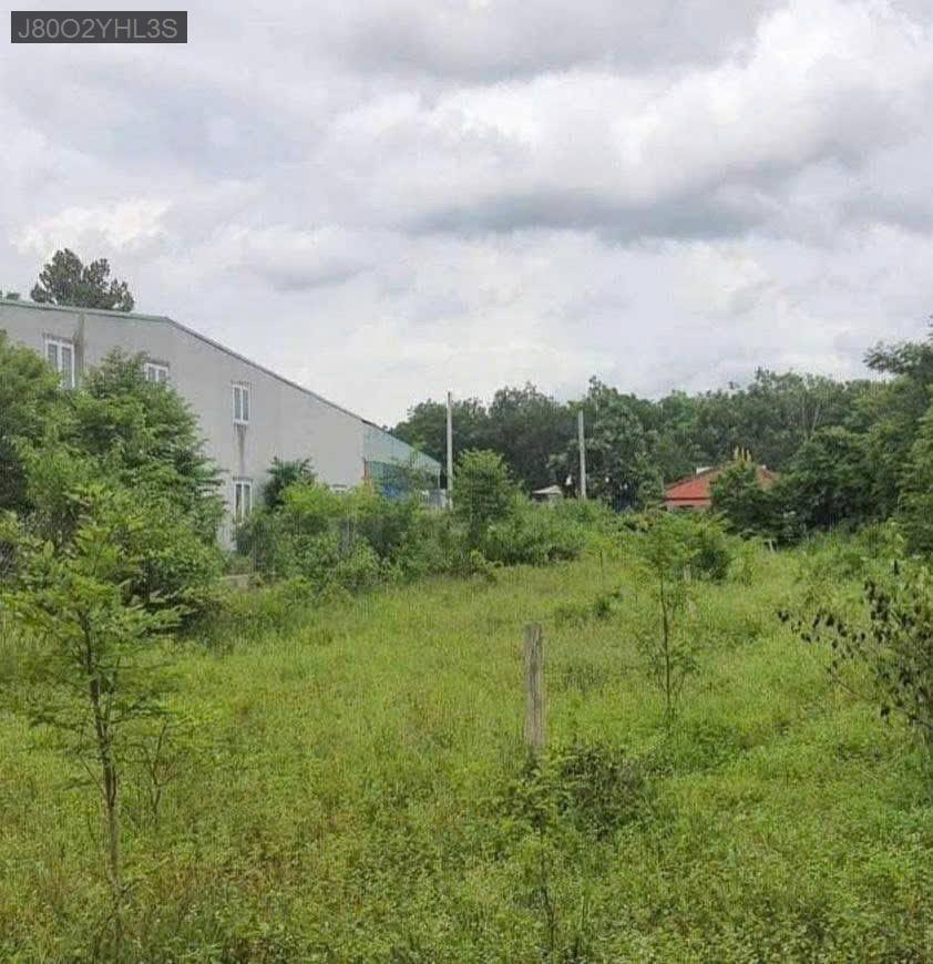 Bán đất mặt tiền Đường 161 Đoàn Minh Triết, dt 6.45m nở hậu 6.61x 68.71  - Xã Thái Mỹ  -  Huyện Củ Chi  - (ảnh - 3)