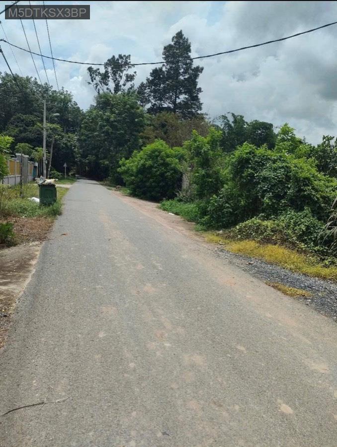 Bán đất tặng nhà mặt tiền Đường 530, tổng 1370m² có 300m² thổ cư. Giá 6tỷ TL - Xã Nhuận Đức  -  Huyện Củ Chi  - (ảnh - 2)