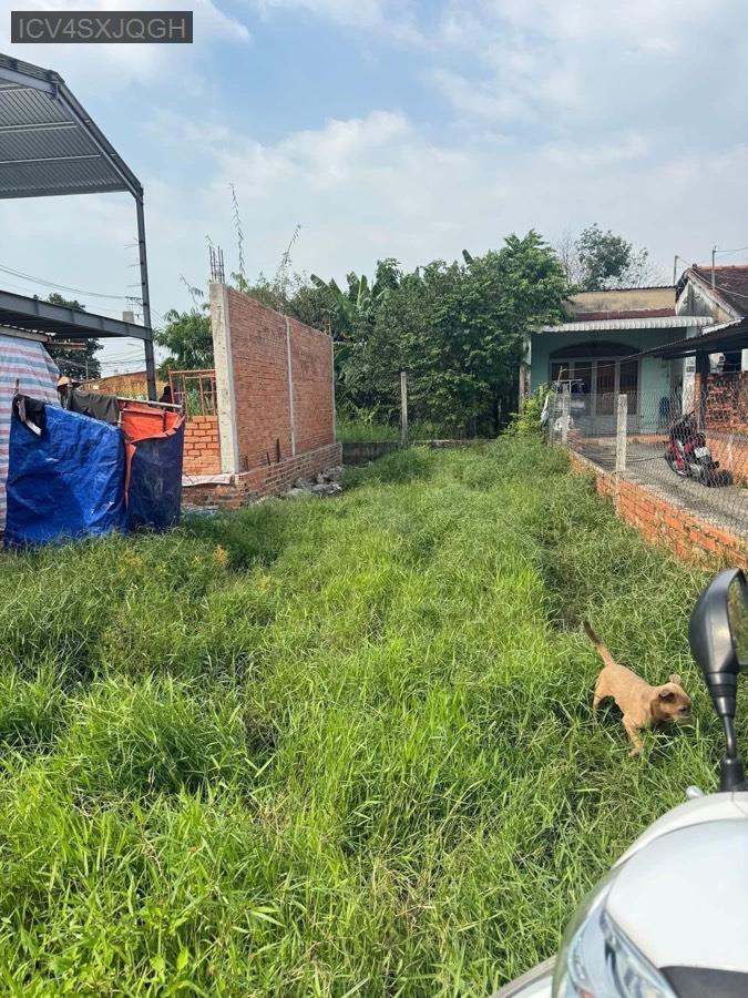 Bán đất Sổ Hồng Riêng mặt tiền Phùng Thị Chuyện. Giá 3tỷ3 - Xã Thới Tam Thôn  -  Huyện Hóc Môn  - (ảnh - 2)