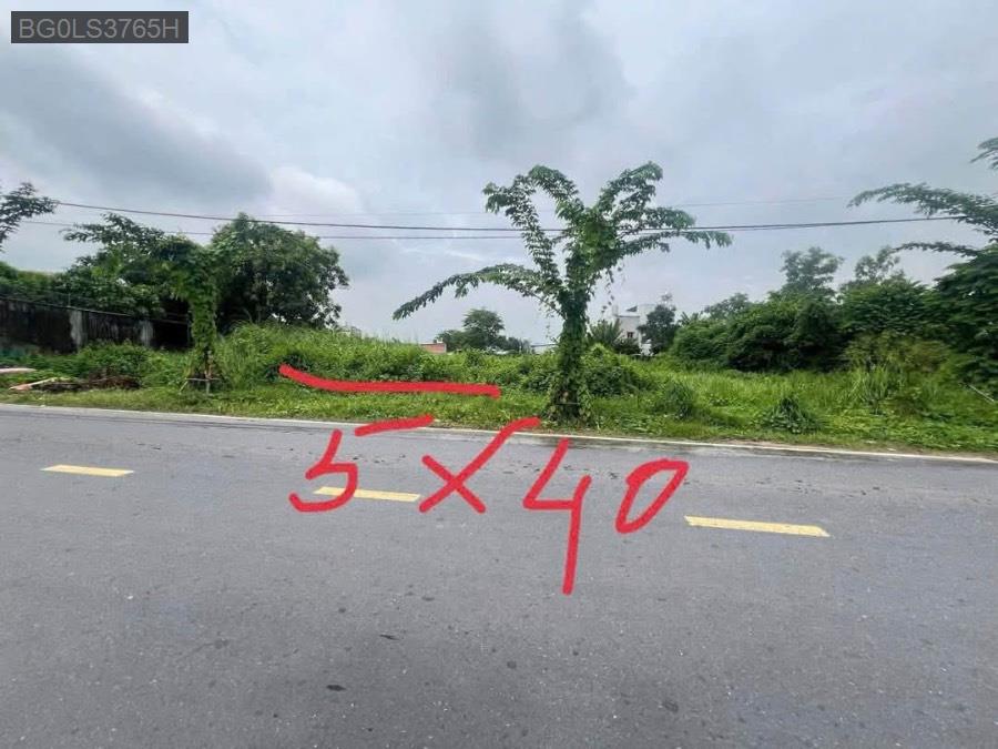 Bán đất mặt tiền đường Nguyễn Thị Lắng, diện tích 5x40 full thổ cư. Giá 3tỷ350tr - Xã Phước Vĩnh An  -  Huyện Củ Chi  - (ảnh - 1)