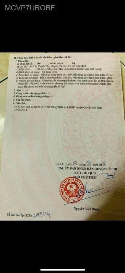 Bán đất đường Tỉnh Lộ 8 Tân Thạnh Tây vào 50m. Đường ô tô thông, diện tích 5x40 full thổ cư - Xã Tân Thạnh Tây  -  Huyện Củ Chi  - (ảnh - 3)