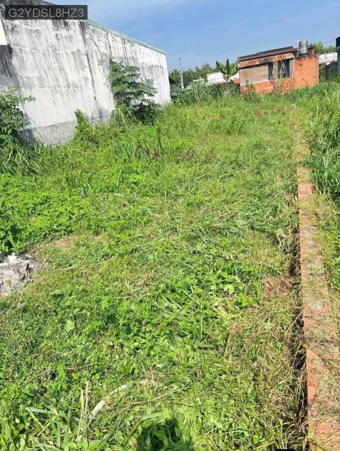 Bán lô đất Đường 416 diện tích 5x24 full thổ. Giá 2.6tỷ TL - Xã Phước Vĩnh An  -  Huyện Củ Chi  - (ảnh - 5)