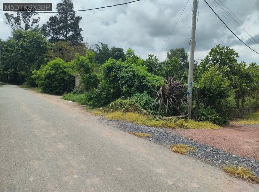 Bán đất tặng nhà mặt tiền Đường 530, tổng 1370m² có 300m² thổ cư. Giá 6tỷ TL - Xã Nhuận Đức  -  Huyện Củ Chi  - (ảnh - 0)