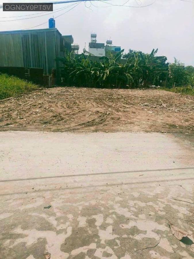 Bán lô đất đường 2-6 SHR full thổ cư 12x19. Hẻm xe tải - Xã Vĩnh Lộc A  -  Huyện Bình Chánh  - (ảnh - 0)