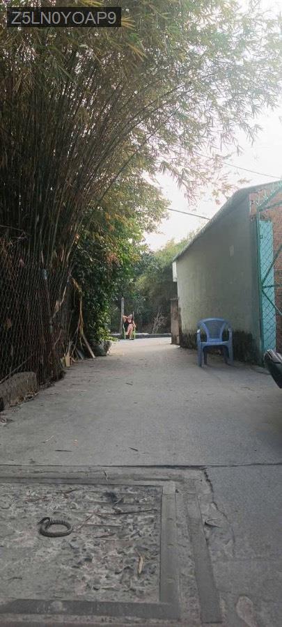 Bán nhà cấp 4 Tân Thới Nhì SHR 4.06x19.6, hướng Đông Nam. Giá : 2tỷ650triệu bớt lộc - Xã Tân Thới Nhì  -  Huyện Hóc Môn  - (ảnh - 1)