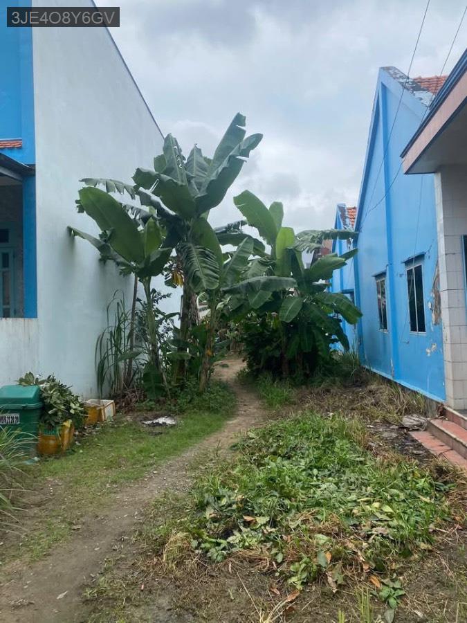 Bán đất đường Vĩnh Lộc diện tích 6x30 nở hậu 6.6m full thổ cư. Giá 8.8tỷ TL - Xã Vĩnh Lộc B  -  Huyện Bình Chánh  - (ảnh - 2)