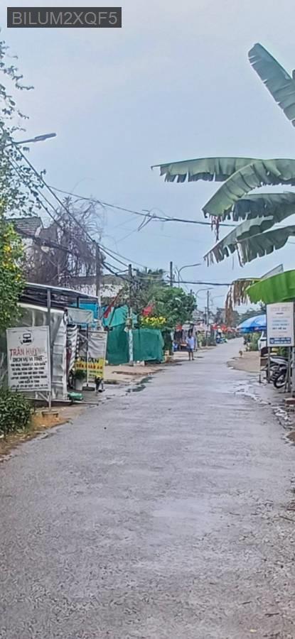 Bán đất SHR kế bên Tỉnh Lộ 10 - Xã Phạm Văn Hai  -  Huyện Bình Chánh  - (ảnh - 0)