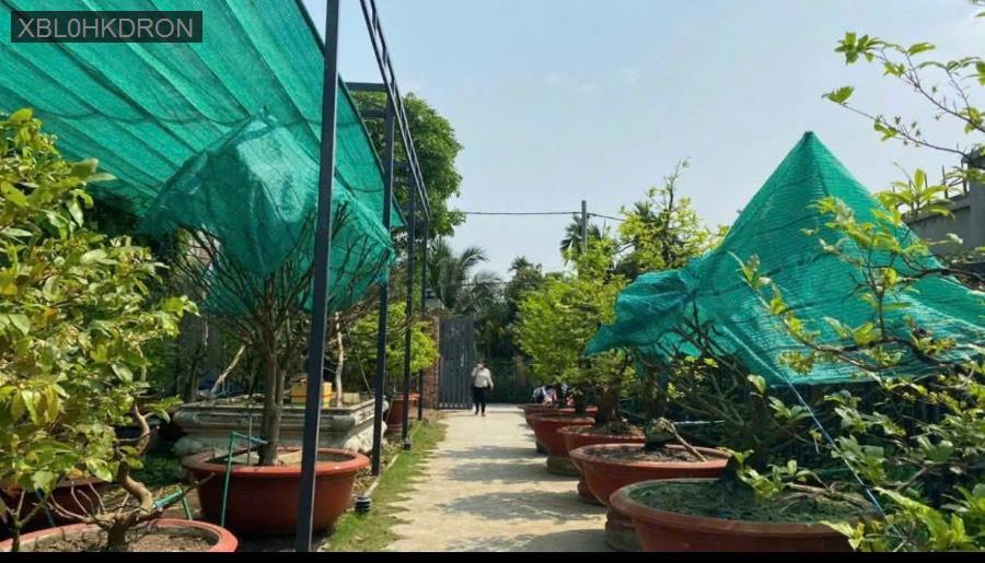 Bán nhà vườn đẹp hiện đại xã Bình Mỹ, diện tích đất 643m² thổ cư, nhà 150m² đã hoàn công vào sổ - Xã Bình Mỹ  -  Huyện Củ Chi  - (ảnh - 4)