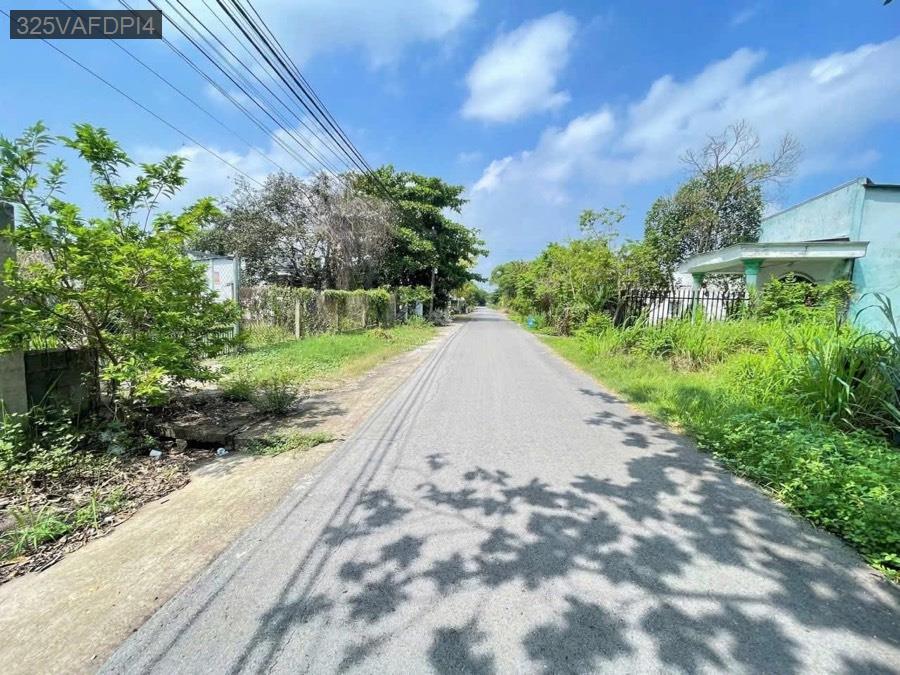Bán đất mặt tiền Đường 30, gần khu trung tâm phố Việt Kiều-gần chợ-trường học-công ty xí nghiệp - Xã Tân Thông Hội  -  Huyện Củ Chi  - (ảnh - 2)
