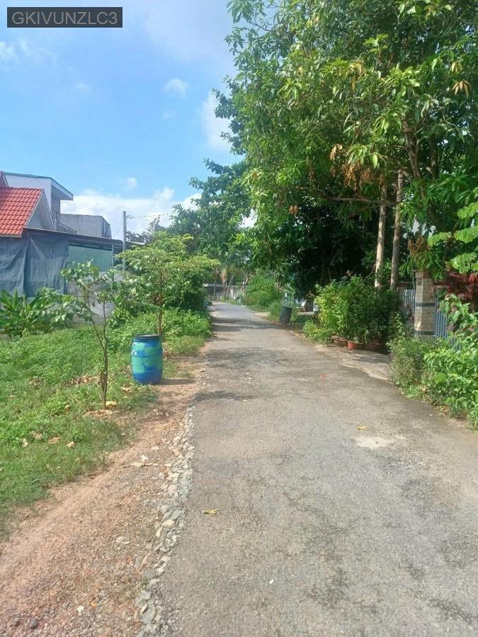 Bán nhà cấp 4 mặt tiền nhựa Tỉnh Lộ 8 vào 100m cách Uỷ Ban và chợ 500m  - Xã Hòa Phú  -  Huyện Củ Chi  - (ảnh - 2)