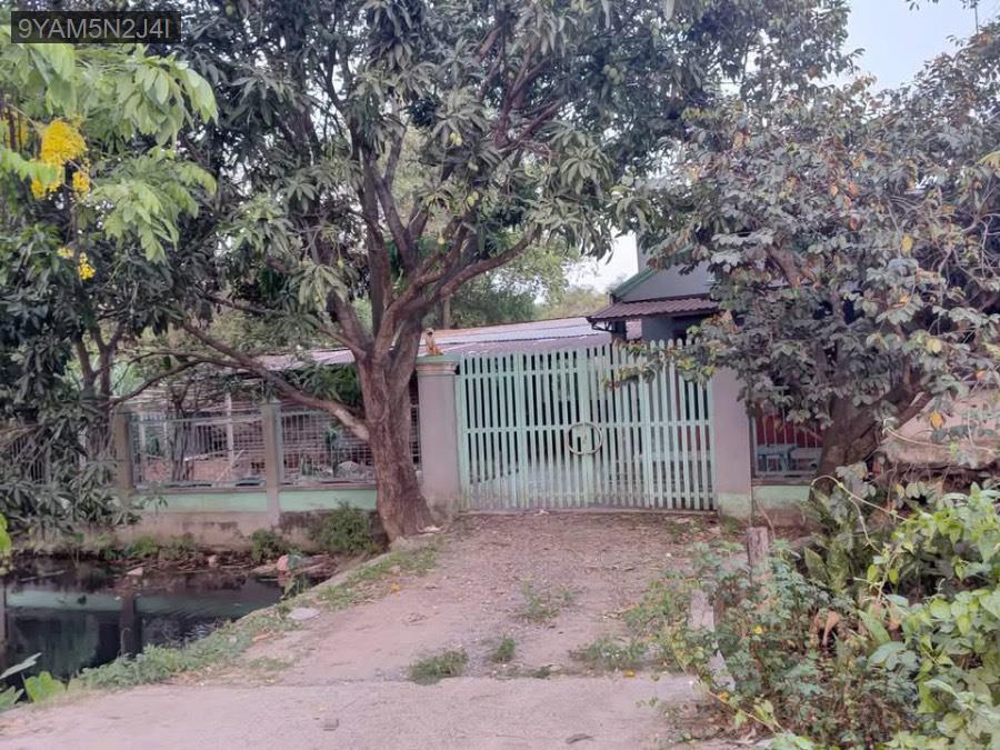 Bán nhà vườn Tân Hiệp, diện tích 16m nở hậu 18m. Đường 8m - Giá 11ty5 TL  - Xã Tân Hiệp  -  Huyện Hóc Môn  - (ảnh - 2)