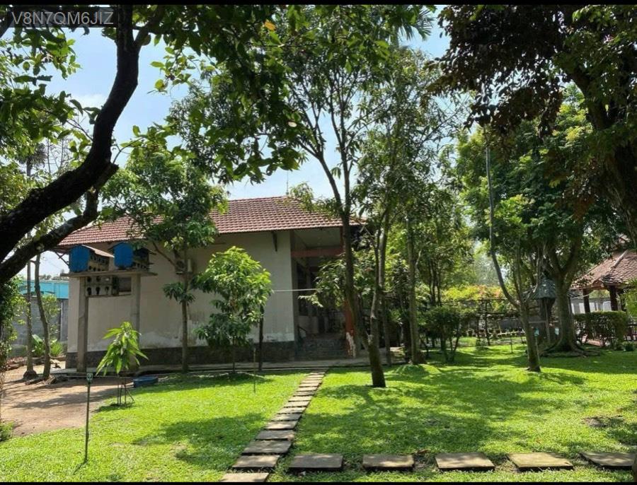 Bán biệt thự vườn Kênh Đông Ấp Tiền, dt 43x67. Nhà có 4pn, sân vườn mát mẻ  - Xã Tân An Hội  -  Huyện Củ Chi  - (ảnh - 3)