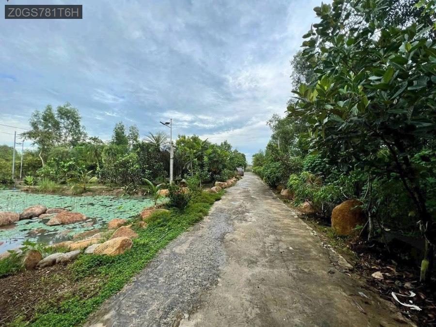 Bán nhà vườn 2 mặt tiền giáp sông Sài Gòn, diện tích 35m x 115m vuông vức, tổng diện tích 3780m². - Xã An Nhơn Tây  -  Huyện Củ Chi  - (ảnh - 0)