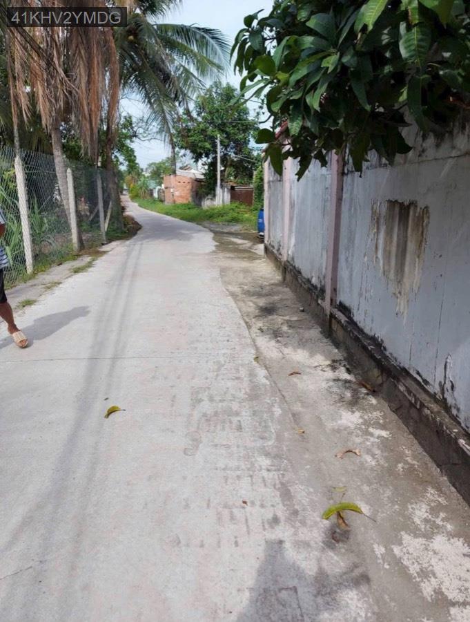 Bán đất lọt khe mặt tiền Đường 166, SHR 5x20. Hướng Tây Nam, đường xe hơi tới đất - Xã Bình Mỹ  -  Huyện Củ Chi  - (ảnh - 2)