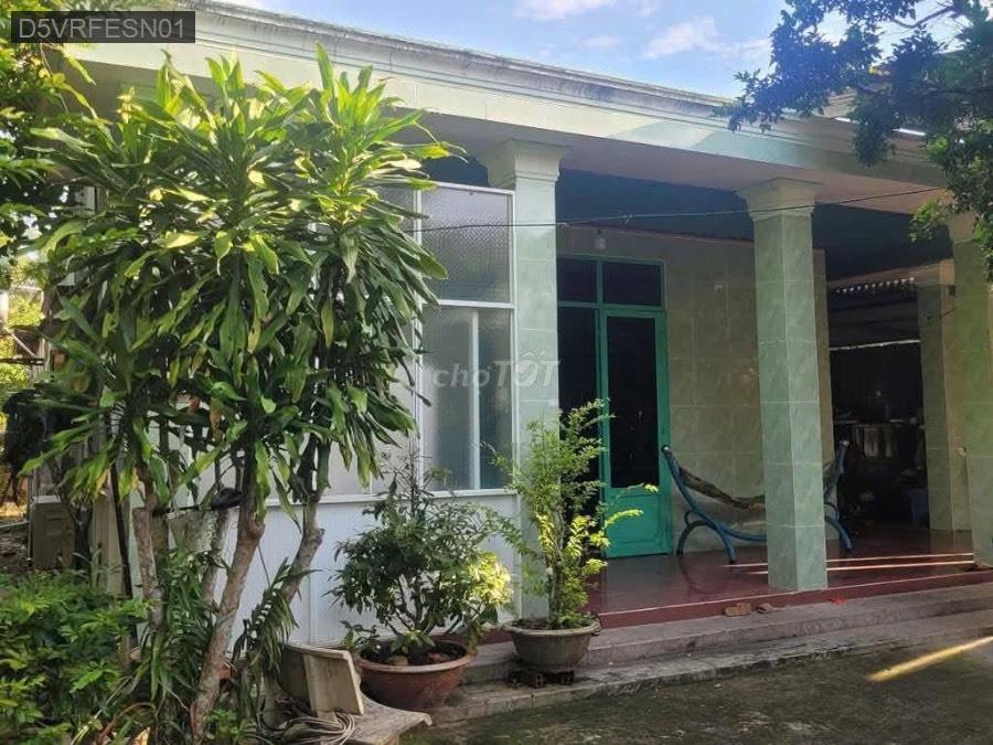 Bán đất đường Bùi Thị Điệt, diện tích 25x65 tdt 1658m² thổ cư 300m. Giá 10tỷ TL - Xã Phạm Văn Cội  -  Huyện Củ Chi  - (ảnh - 1)