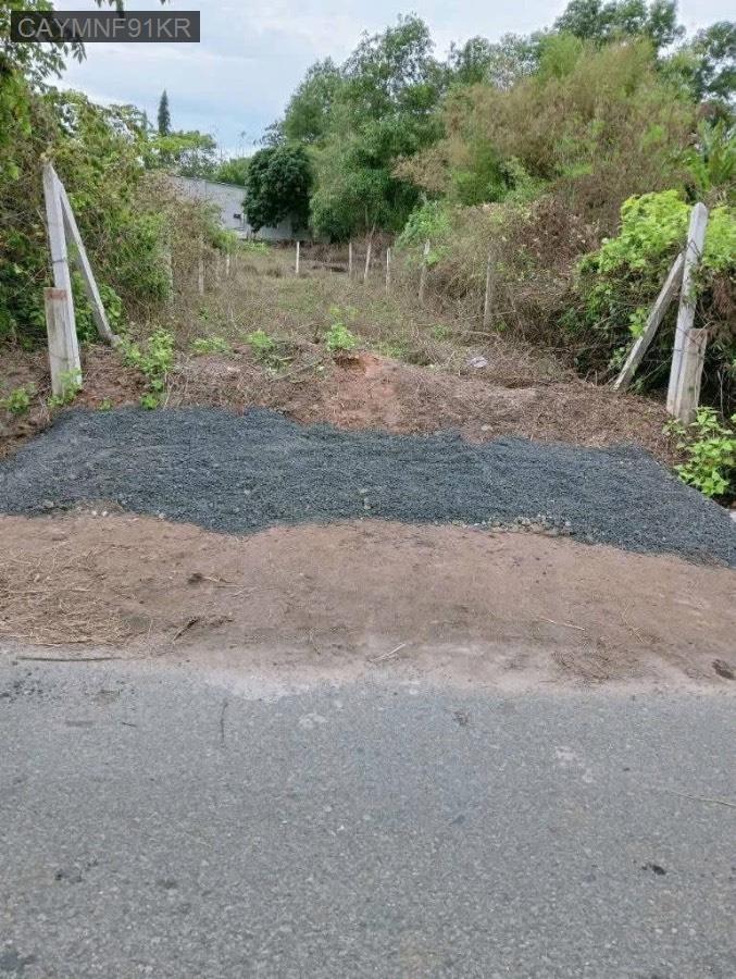 Bán lô đất 2 mặt tiền đường Đỗ Đăng Tuyển, gần chợ trường học đầy đủ tiện ích. Giá 3.5tỷ TL - Xã An Nhơn Tây  -  Huyện Củ Chi  - (ảnh - 4)