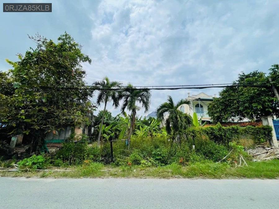 Bán lô đất mặt tiền Đường Số 28 nhựa lộ giới 12m, thích hợp cho khách xây biệt thự - kho xưởng nhỏ - Xã Phước Vĩnh An  -  Huyện Củ Chi  - (ảnh - 4)