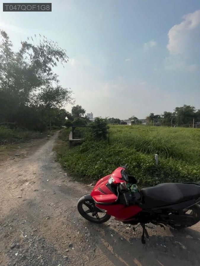 Bán đất Đường Trần Thị Cẩm, dt 393m² có sẵn 100m² thổ cư. Giá 3tỷ150tr TL - Xã Tân Phú Trung  -  Huyện Củ Chi  - (ảnh - 0)