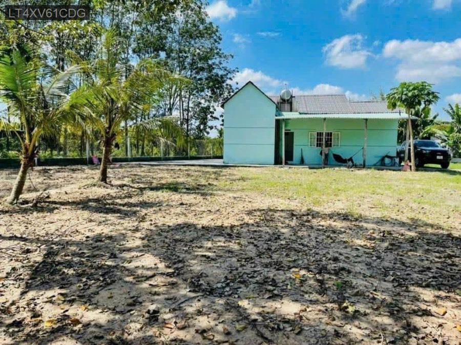 Bán nhà vườn Thái Mỹ gần trường học - uỷ ban. Giá 3tỷ TL - Xã Thái Mỹ  -  Huyện Củ Chi  - (ảnh - 2)