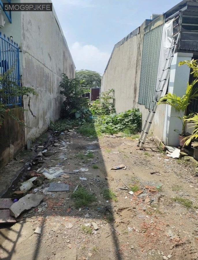 Bán đất SHR Xuân Thới Thượng, hướng Tây Bắc. Cách chợ đầu mối Hóc Môn 500m - Xã Xuân Thới Thượng  -  Huyện Hóc Môn  - (ảnh - 0)