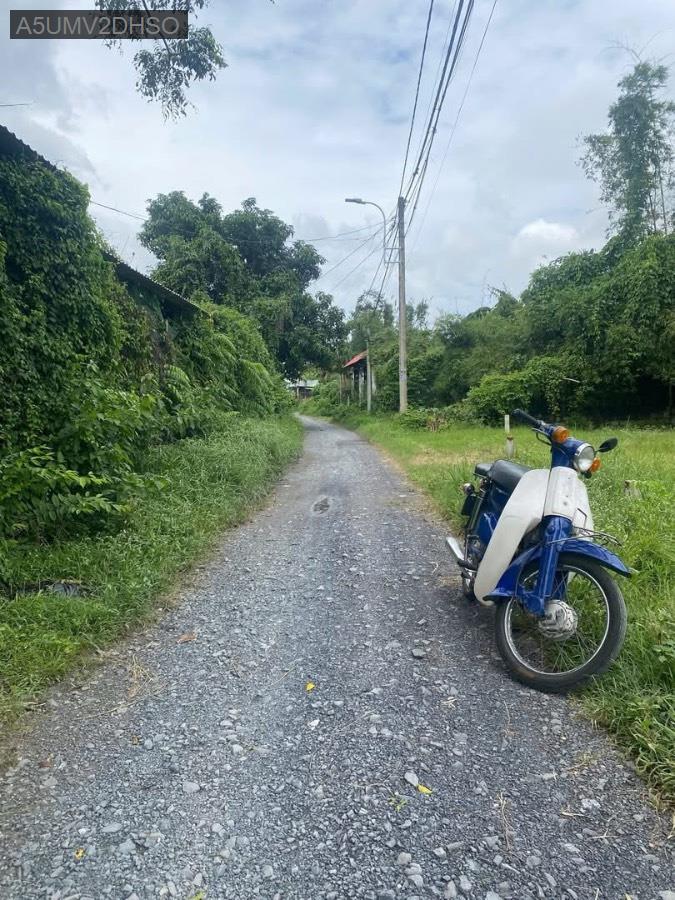 Bán đất đường Tỉnh Lộ 15, diện tích 570m² full thổ cư xây dựng thoải mái. - Xã Phú Hòa Đông  -  Huyện Củ Chi  - (ảnh - 1)