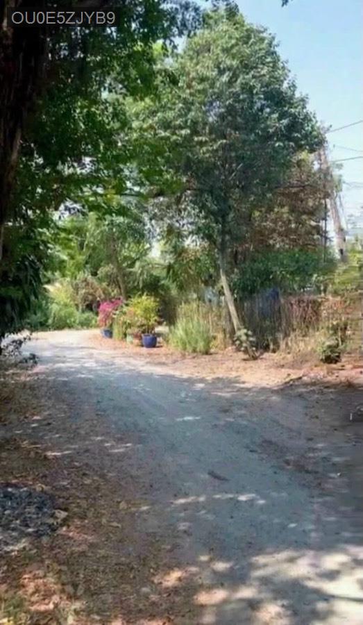 Bán đất đường 64 tổng 189m² có 57m thổ cư. Đất đã được san phẳng, xây cổng và rào cao đẹp - Xã Tân Phú Trung  -  Huyện Củ Chi  - (ảnh - 2)