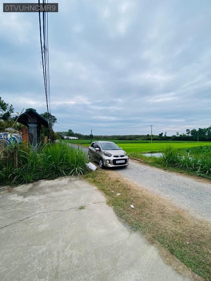 Bán đất tặng căn nhà cấp 4 kiên cố mặt tiền đường nhựa Trung Lập Thượng, diện tích 7.9x58 - Xã Trung Lập Thượng  -  Huyện Củ Chi  - (ảnh - 5)