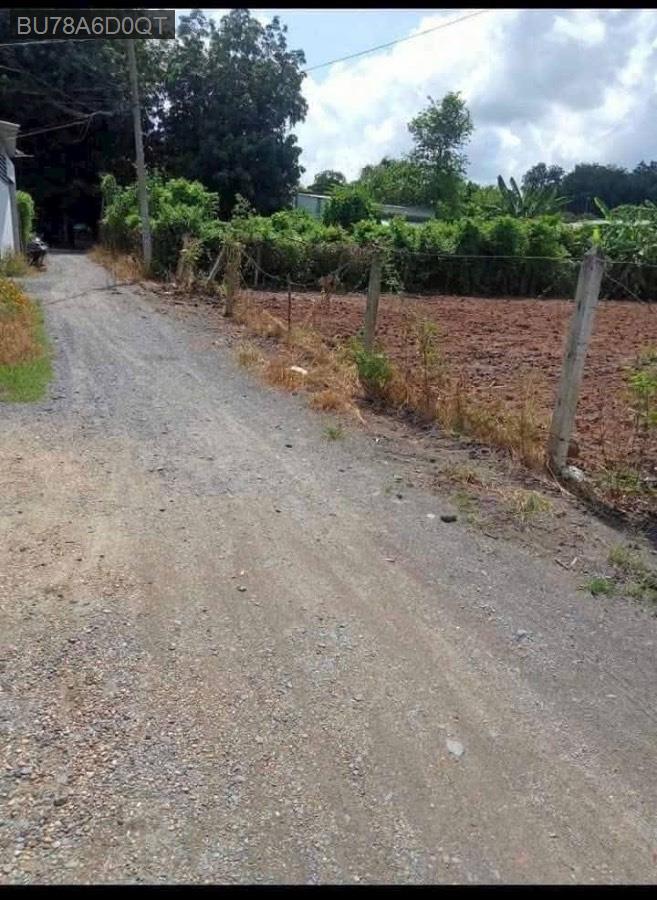 Bán đất cách mặt tiền Nguyễn Thị Nê 150m, tổng diện tích : 1275m, có 240m thổ cư - Xã Phú Hòa Đông  -  Huyện Củ Chi  - (ảnh - 3)