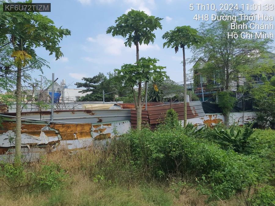 Bán đất Thơi Hoà diện tích 15x23. Vị trí đẹp gần trường học, ngân hàng, khu công nghiệp. Giá 4.2tỷ - Xã Vĩnh Lộc A  -  Huyện Bình Chánh  - (ảnh - 2)