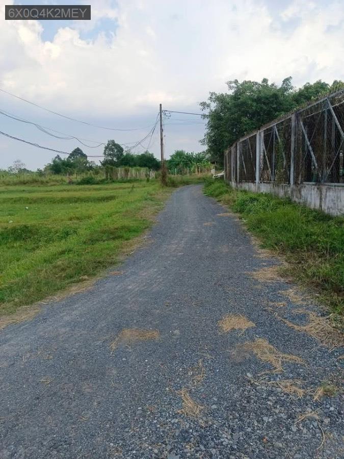 Bán đất Ấp 3 Phước Vĩnh An, diện tích 4600m có 500m thổ. Giá 13tỷ5 còn bớt - Xã Phước Vĩnh An  -  Huyện Củ Chi  - (ảnh - 2)