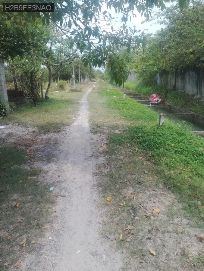Bán lô đất + nhà vườn có cấp 4 sẵn, có đường kênh nước chảy quanh năm - Xã Nhuận Đức  -  Huyện Củ Chi  - (ảnh - 3)