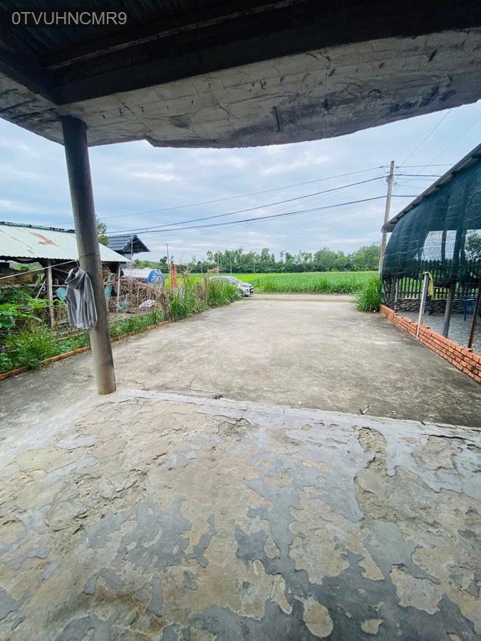 Bán đất tặng căn nhà cấp 4 kiên cố mặt tiền đường nhựa Trung Lập Thượng, diện tích 7.9x58 - Xã Trung Lập Thượng  -  Huyện Củ Chi  - (ảnh - 6)