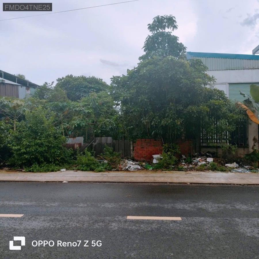 Bán lô đất thổ cư SHR mặt tiền Trương Thị Như cách Nguyễn Văn Bứa 100m. Xây dựng hoàn công tự do - Xã Xuân Thới Sơn  -  Huyện Hóc Môn  - (ảnh - 2)