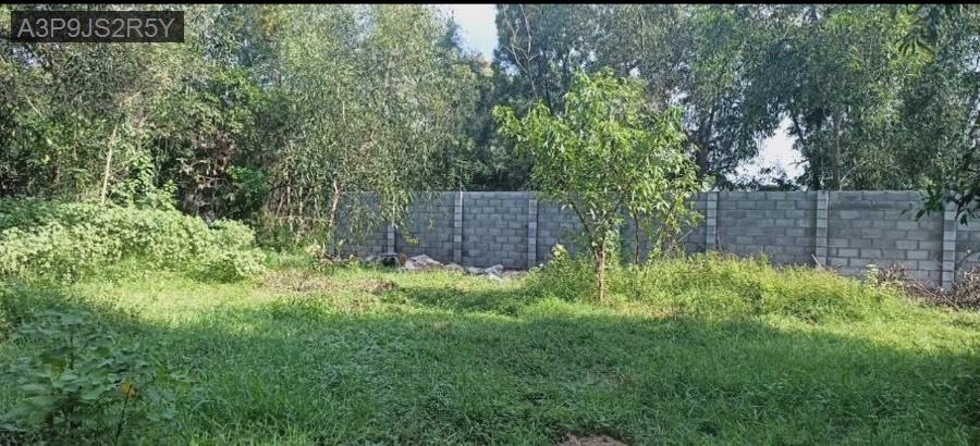 Bán đất mặt tiền Nguyễn Thị Se, tổng diện tích 2062m² có 700m thổ cư. Giá 21tỷ TL - Xã Tân Thông Hội  -  Huyện Củ Chi  - (ảnh - 1)