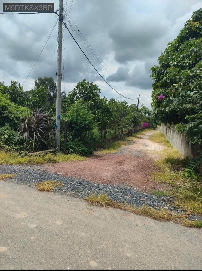 Bán đất tặng nhà mặt tiền Đường 530, tổng 1370m² có 300m² thổ cư. Giá 6tỷ TL - Xã Nhuận Đức  -  Huyện Củ Chi  - (ảnh - 1)