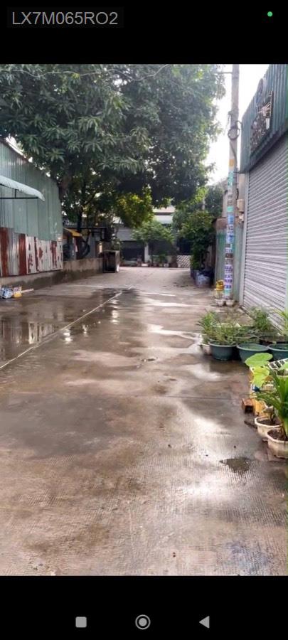 Bán nhà đường Liên Ấp 2-6. Nhà hướng bắc, hẻm xe tải - Xã Vĩnh Lộc A  -  Huyện Bình Chánh  - (ảnh - 3)