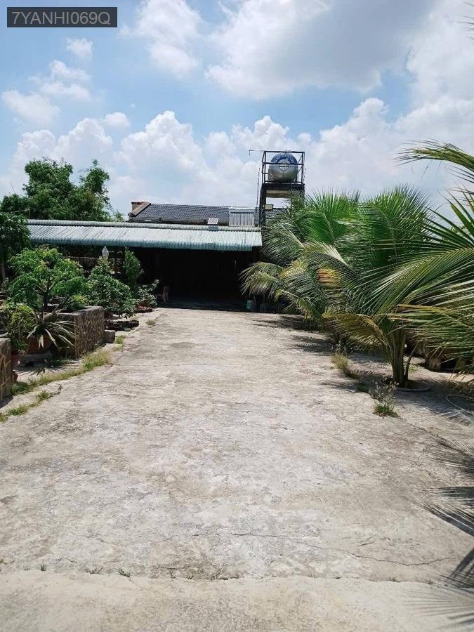 Bán nhà vườn Thị Trấn Hậu Nghĩa, SHR 18x48.5 có 200m² thổ cư. Đường ô tô chạy - Thị trấn Hậu Nghĩa  -  Huyện Đức Hòa  - (ảnh - 6)