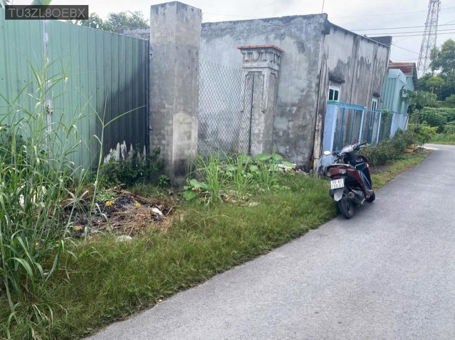 Bán lô đất hiện hữu SHR vị trí mặt tiền đường nhựa Mai Thị Buội, đường thông xe, không mồ mã - Xã Phước Vĩnh An  -  Huyện Củ Chi  - (ảnh - 5)