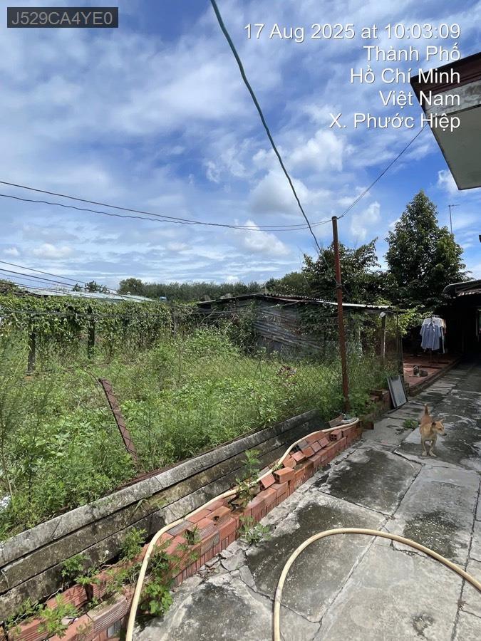 Bán nhà mặt tiền kênh, nhà diện tích rộng, gần kênh có thể trồng thêm cây, chăn nuôi gà vịt,… - Xã Phước Hiệp  -  Huyện Củ Chi  - (ảnh - 2)