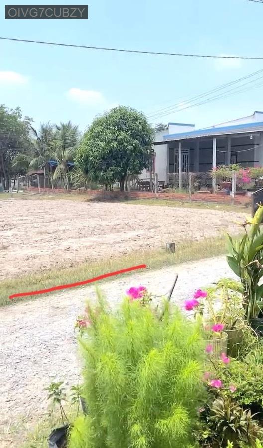 Bán đất gần khu VinGroup Tân Mỹ, SHR 10x22 thổ cư full. Giá 2tỷ1  - Xã Tân Mỹ  -  Huyện Đức Hòa  - (ảnh - 1)