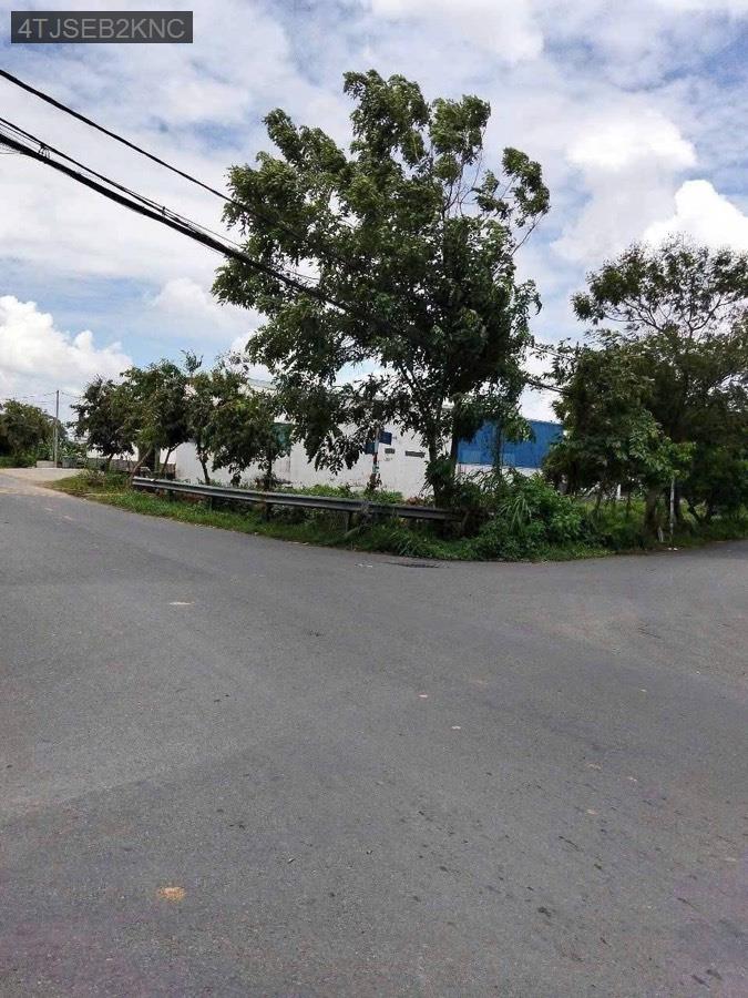 Bán đất mặt tiền Đường Số 28.Vị trí đẹp, khu dân cư đông, gần trường học cách Đường Số 9 50m - Xã Tân Thông Hội  -  Huyện Củ Chi  - (ảnh - 0)