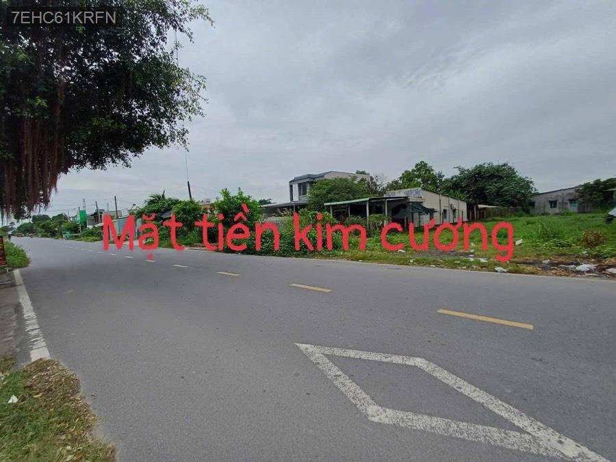 Bán đất mặt tiền Đường Nguyễn Kim Cương, tổng diện tích 700m. Thích hợp xây kho xưởng, biệt thự,… - Xã Tân Thạnh Đông  -  Huyện Củ Chi  - (ảnh - 2)
