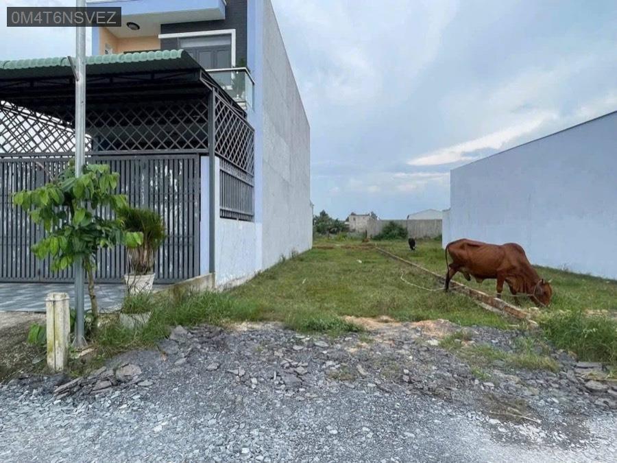 Bán đất cách Bệnh Viện Xuyên Á 2km, diện tích 5x24 full thổ cư. Giá 2.6tỷ  - Xã Tân Phú Trung  -  Huyện Củ Chi  - (ảnh - 1)