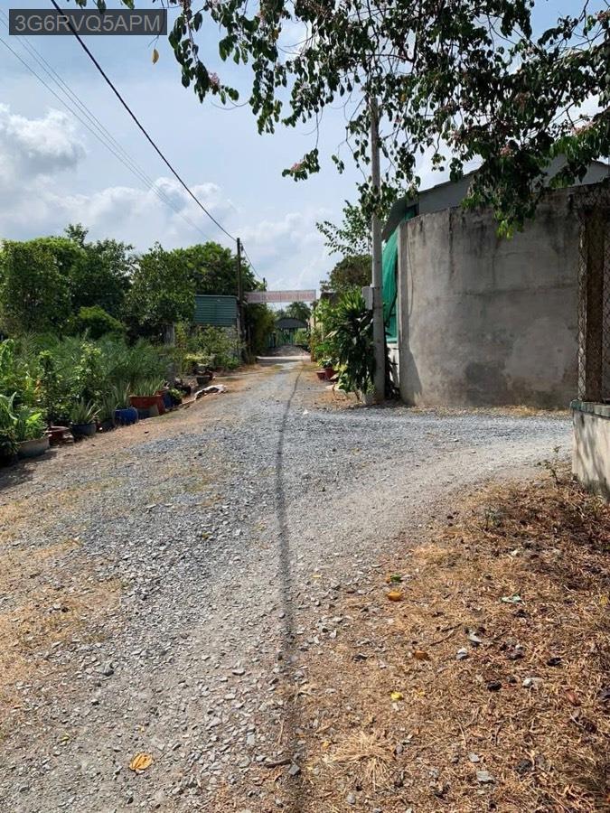 Bán lô đất vườn cách QL22 tầm 100m, gần trường học - uỷ ban. Diện tích 16x48, tổng 769m² - Xã Tân Thông Hội  -  Huyện Củ Chi  - (ảnh - 5)